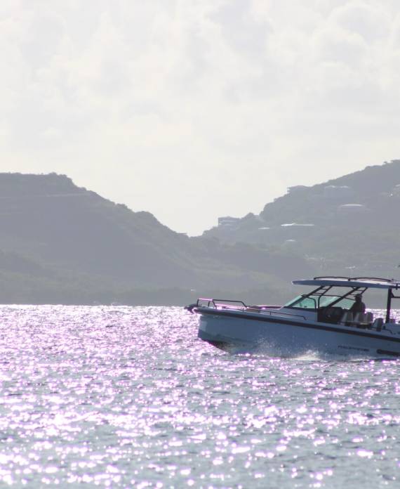 Her Deal - Beach Charters VI